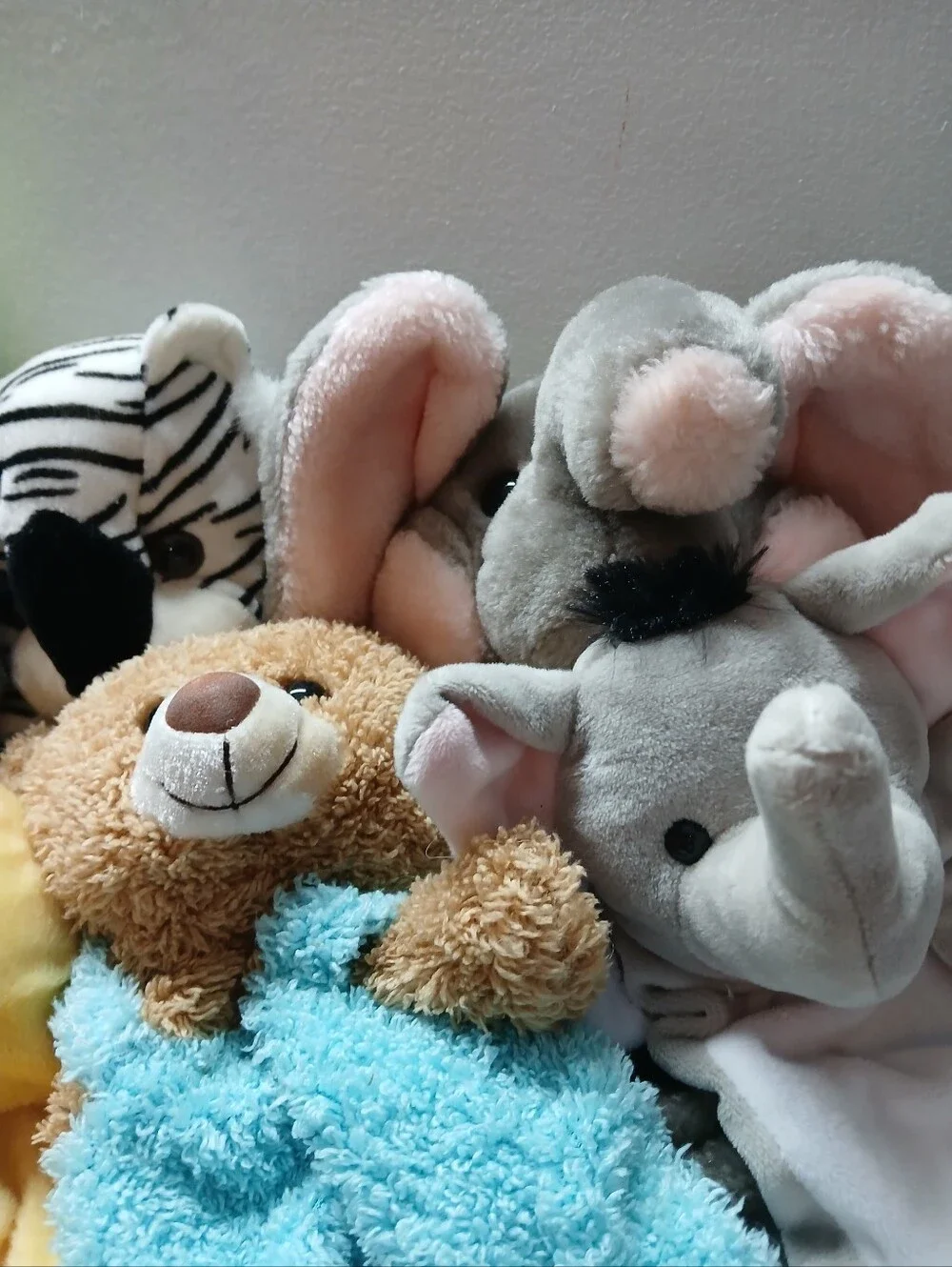 N/A several animal